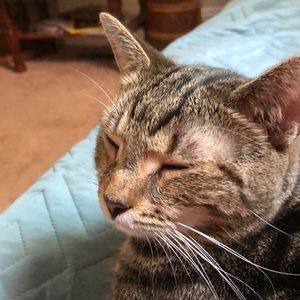 Meet your Posher, Victoria